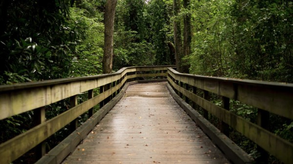 Cos’è un apprendistato. Come funziona, come ottenerlo e vantaggi
